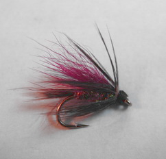 ���� ������ Wet fly 